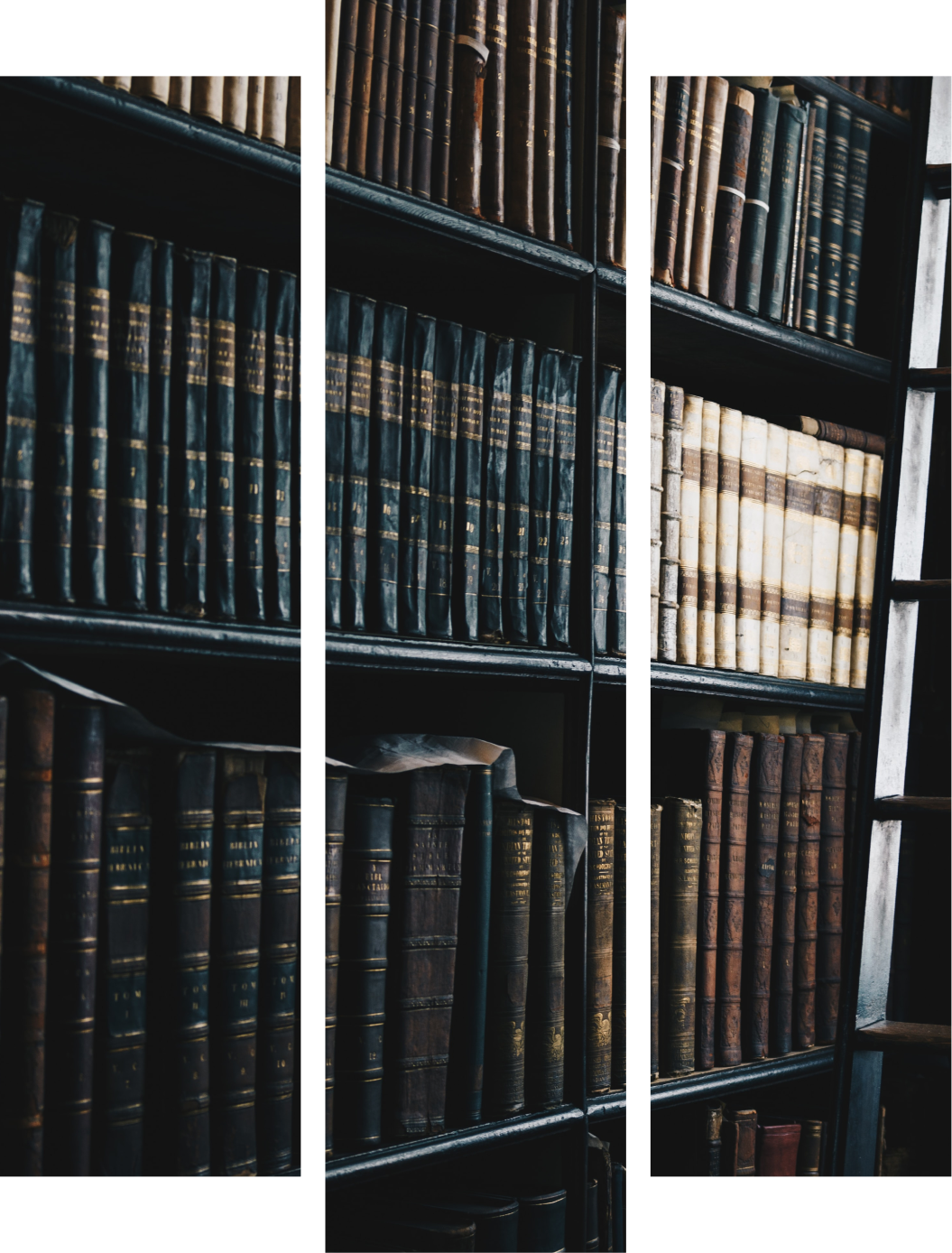 Biblioteca